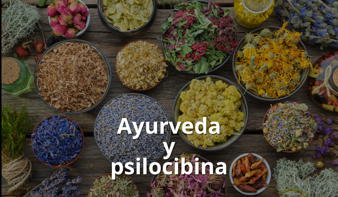 El Poder de Transformación: Ayurveda y Psilocibina